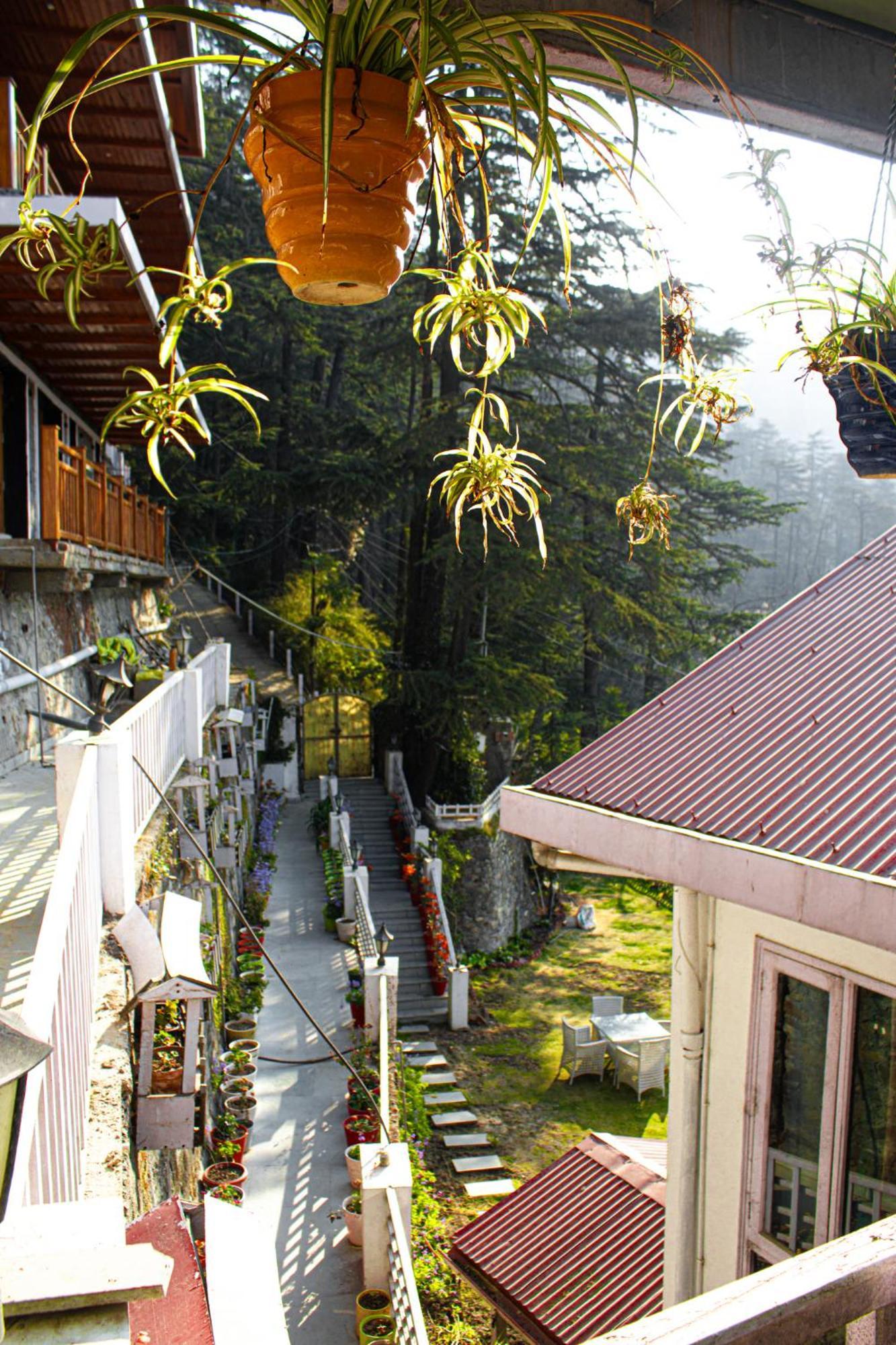 Whispering Pines Villa Simlá Kültér fotó